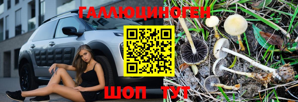 Бийск  Галлюциногенные грибы Cubensis  Псилоцибиновые грибы MAGIC MUSHROOMS  Вход с VPN 