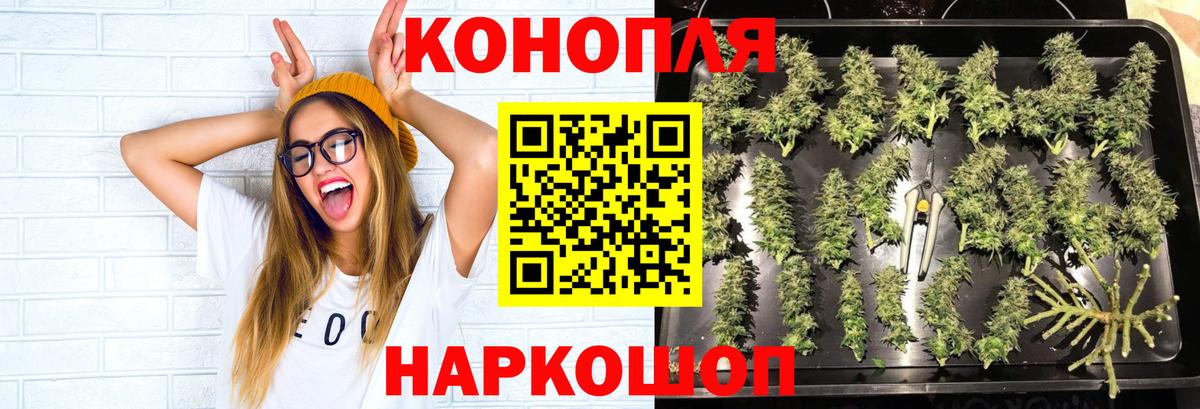 Марихуана план  Вход с VPN  МАРИХУАНА THC 21%  Бийск 